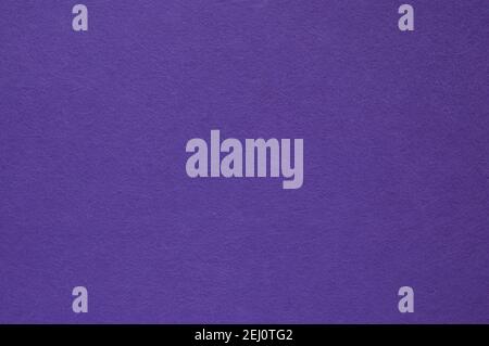 Violet felt texture for design. High resolution photo. color lilac velvet, Stock Photo