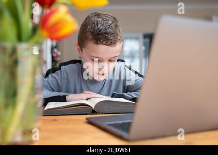 Cute happy intelligent young boy sat reading big story book at wooden table homeschool handsome and smiling enjoying learning on bright day omputer Stock Photo