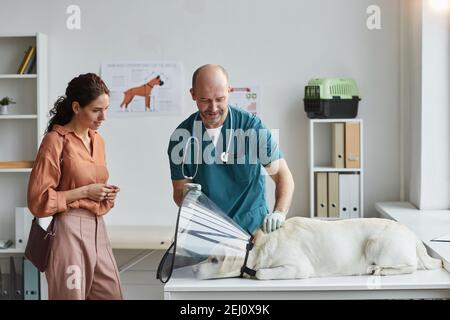 Portrait of mature veterinarian examining dog at vet clinic with young woman watching him, copy space Stock Photo