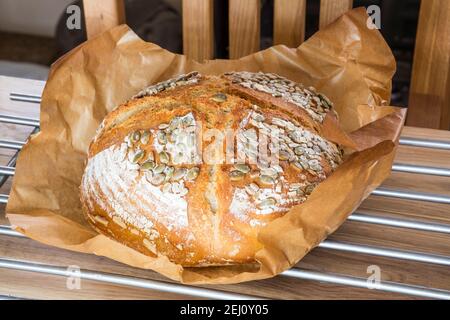 Home baked sourdough loaf fresh out of the oven. Stock Photo