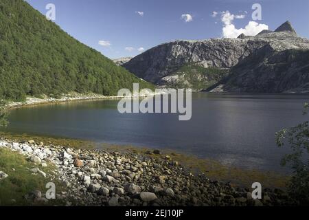 Norway, Norwegen; Rocky mountains and the sea - a typical summer landscape in northern Norway behind the Arctic Circle. Zielone zbocze, urwista skała Stock Photo