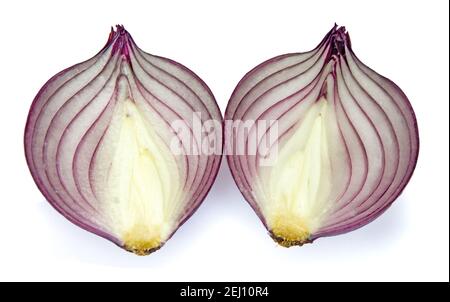 Onion and onion slices  isolated on white background Stock Photo