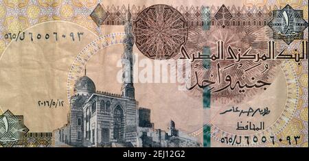 Egypt currency of one pound banknote year 2016. Egyptian money (cash ). Stock Photo