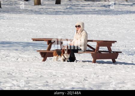 a woman sits on at a park picnic table with her pet beagle on a leash after a snow storm with snow covering the ground Stock Photo
