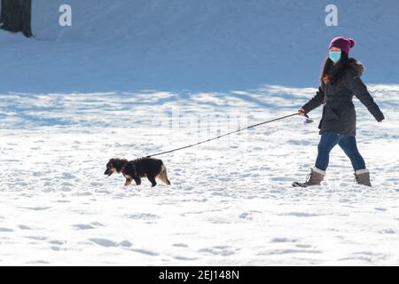 a woman in a face mask walks a dog on a leash through a park covered in snow in Inwood Hill Park, New York during the covid-19 or coronavirus pandemic Stock Photo