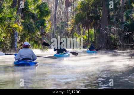 Three kayakers in a steam fog on a cold morning on the Silver River in Silver Springs State Park, Florida, USA Stock Photo