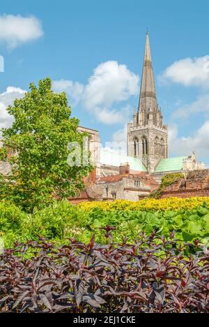 Chichester Cathedral seen from Bishops Palace Garden in spring, West Sussex, England, UK Stock Photo