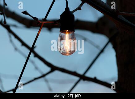 an illuminated edison light bulb hanging from a tree branch in the early evening with the filament and condensation on the inside of the glass bulb Stock Photo