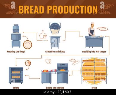 Bread production cartoon infographics with processing line from kneading dough to packing of baked products vector illustration Stock Vector