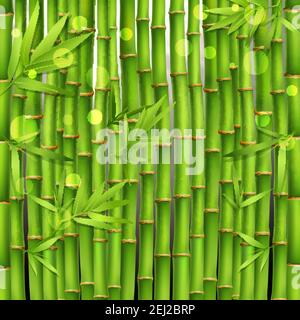 Oriental seamless green pattern composed from young tropical bamboo shoots and leaves realistic vector illustration Stock Vector