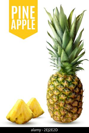 Realistic ripe pineapple and two fresh slices isolated on white background vector illustration Stock Vector