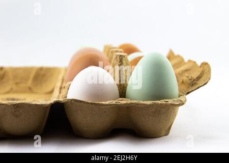 Green, brown and white eggs in a egg box Stock Photo