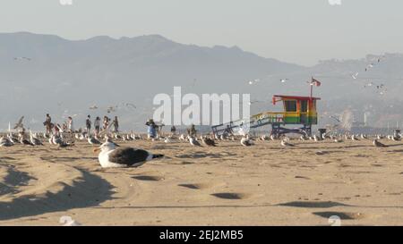 LOS ANGELES CA USA - 16 NOV 2019: California summertime Venice beach aesthetic. Sea gulls on sunny california coast, iconic retro wooden rainbow lgbt Stock Photo