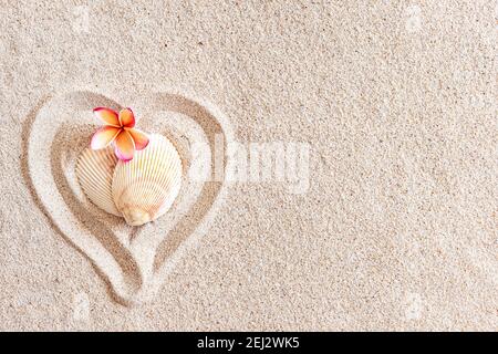 Two seashells in the shape of a heart on a smooth sandy beach with copy space Stock Photo