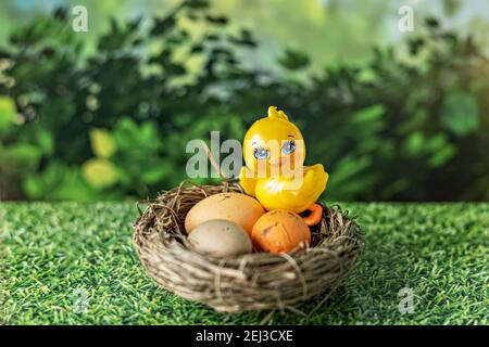 Easter eggs in a natural nest and decorative chicken on a blurred green background with grass texture. Stock Photo