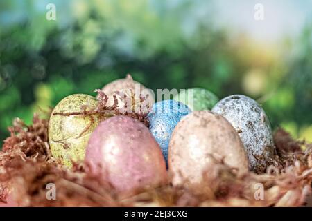 On a blurred green background, a natural nest with moss and painted Easter eggs. Selective focus. Stock Photo