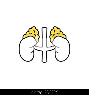Human organs adrenal glands color line icon. Pictogram for web page, mobile app, promo. UI UX GUI design element. Editable stroke. Stock Vector