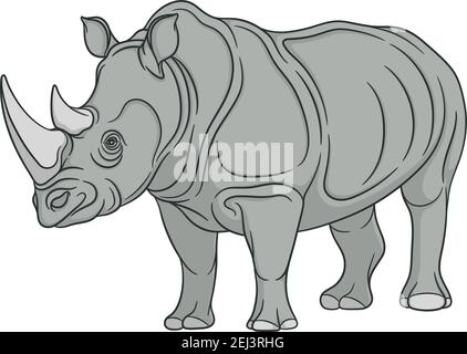 Vector color illustration rhinoceros. Isolated object on a white background. Stock Vector
