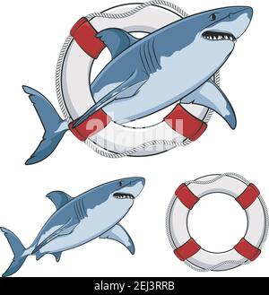 Color image white shark and a life buoy. Vector isolated objects on white. Stock Vector
