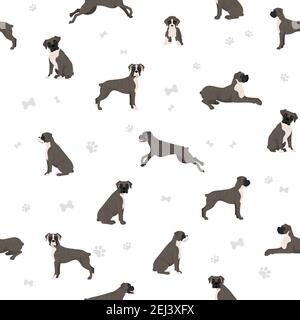 Boxer dog seamless pattern. Different poses, puppy.  Vector illustration Stock Vector