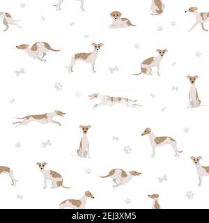 Whippet Pattern Whippet seamless pattern. Different poses, coat colors set. Vector ...