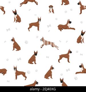 Boxer dog seamless pattern. Different poses, puppy.  Vector illustration Stock Vector