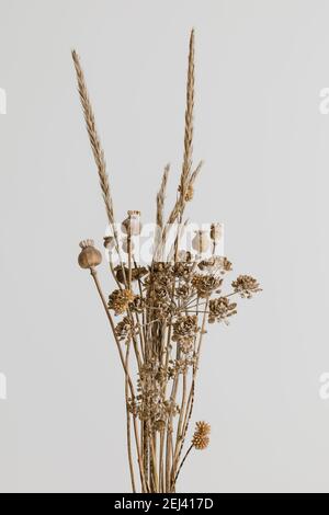 bouquet of dried wild flowers on the background of a concrete wall Stock  Photo - Alamy