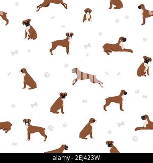 Boxer dog seamless pattern. Different poses, puppy.  Vector illustration Stock Vector