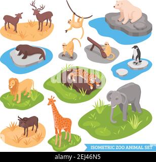 Isometric zoo decorative icons set of animals living in african arctic and asian wilderness isolated vector illustration Stock Vector