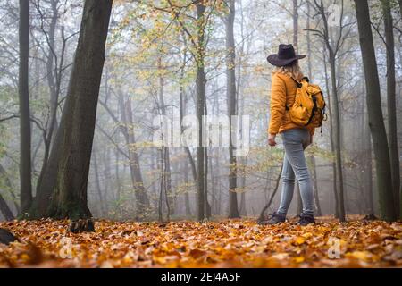 Woman with hat and backpack hiking in misty forest. Adventure in autumn woodland. Female tourist looking to fog in nature Stock Photo