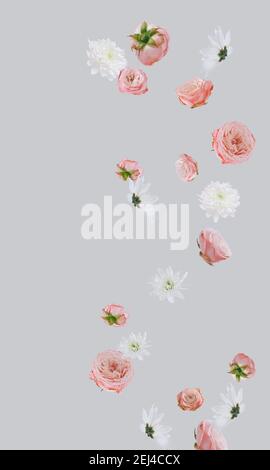 Creative  layout  made with various  light bloom flowers against  gray background.  Minimal nature  concept. Vertical. Stock Photo