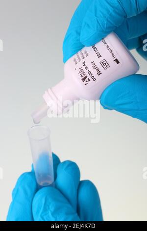 Covid 19 PCR Rapid Test, Corona, Buffer/Developer Solution Stock Photo