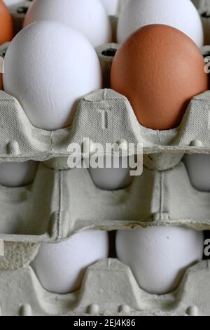 White and brown eggs in egg carton Stock Photo