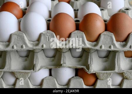 Many white and brown eggs in egg carton Stock Photo