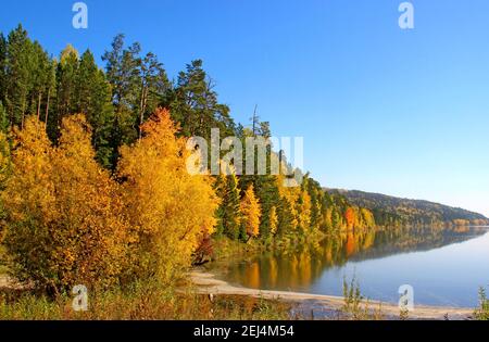 Bright autumn landscape: the river's coastline, densely wooded, gently curves to the horizon. Stock Photo