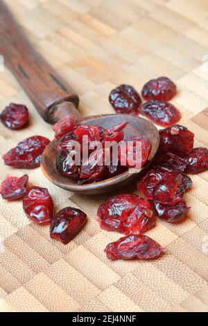 Dried cranberries (Vaccinium macrocarpon) in wooden trowel Stock Photo