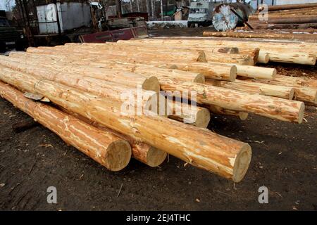 Little sawmill in the open. Round timbers lying on the ground. Stock Photo