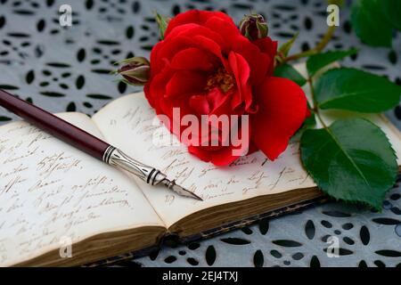 Penholder on book with old writing, red rose, handwriting Stock Photo