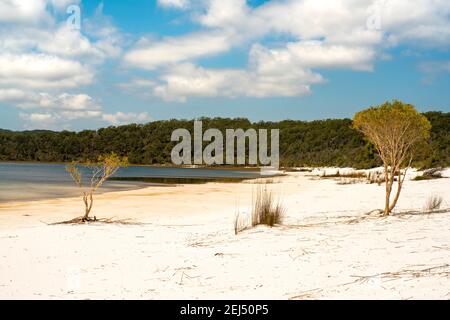 White beach on Fraser Island Great Sandy National Park Stock Photo