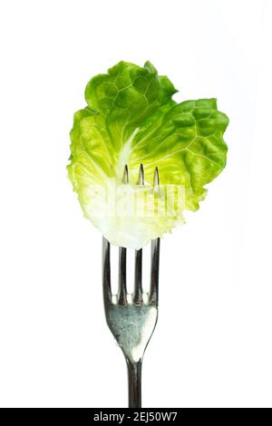 A single lettuce leaf on a silver fork Stock Photo