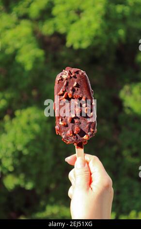 Delectable Chocolate Dipped Ice Cream Bar in Hand against  Blurry Green Foliage Stock Photo