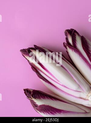 Fresh red chicory on a pink background Stock Photo