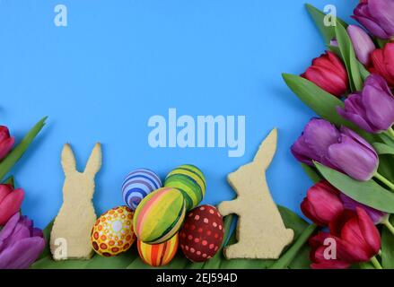 tulips, painted eggs and bunny shaped cookies on blue background Stock Photo