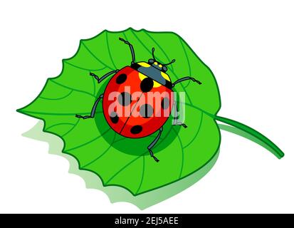 Illustration of the red ladybug on green leaf Stock Vector
