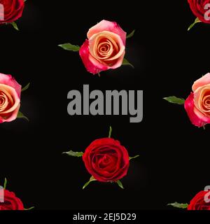 rosebud seamless pattern. head of rose bloom isolated on black pattern, pop art Stock Photo