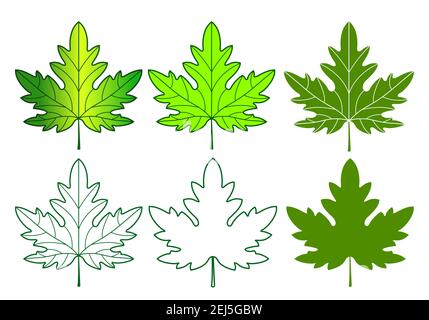 Set of the maple leaf icon Stock Vector