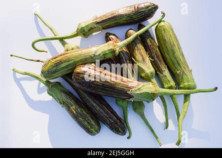 Brinjals also called Eggplants and aubergines. Green and purple dual stripe types of eggplant from India. Fresh Indian vegetables harvested at home or Stock Photo