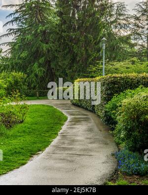 Beautiful park with pathway spring rainy day Stock Photo - Alamy