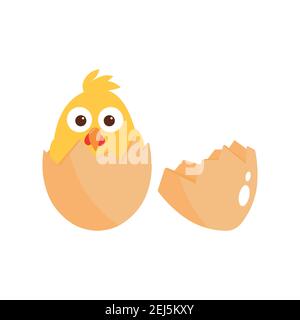 Chicken in egg - vector illustration isolated on white background. Stock Vector