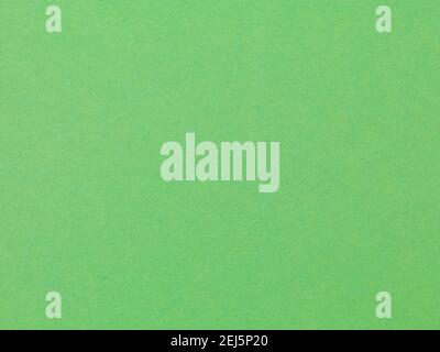 Pastel green paper texture recycled. Uniform lighting no shadows clean. Stock Photo